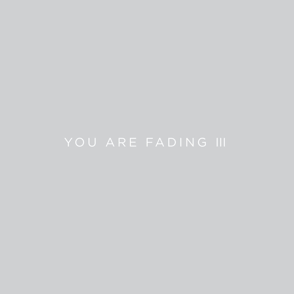 Picture of You Are Fading, Vol. 3 (Bonus Tracks 2005 - 2010)