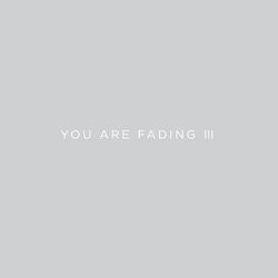 Cover of You Are Fading, Vol. 3 (Bonus Tracks 2005 - 2010)