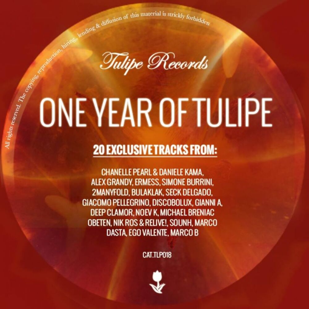 Picture of One Year Of Tulipe