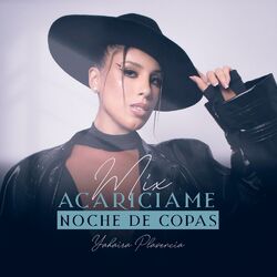Cover of Mix Acariciame - Noche de Copas