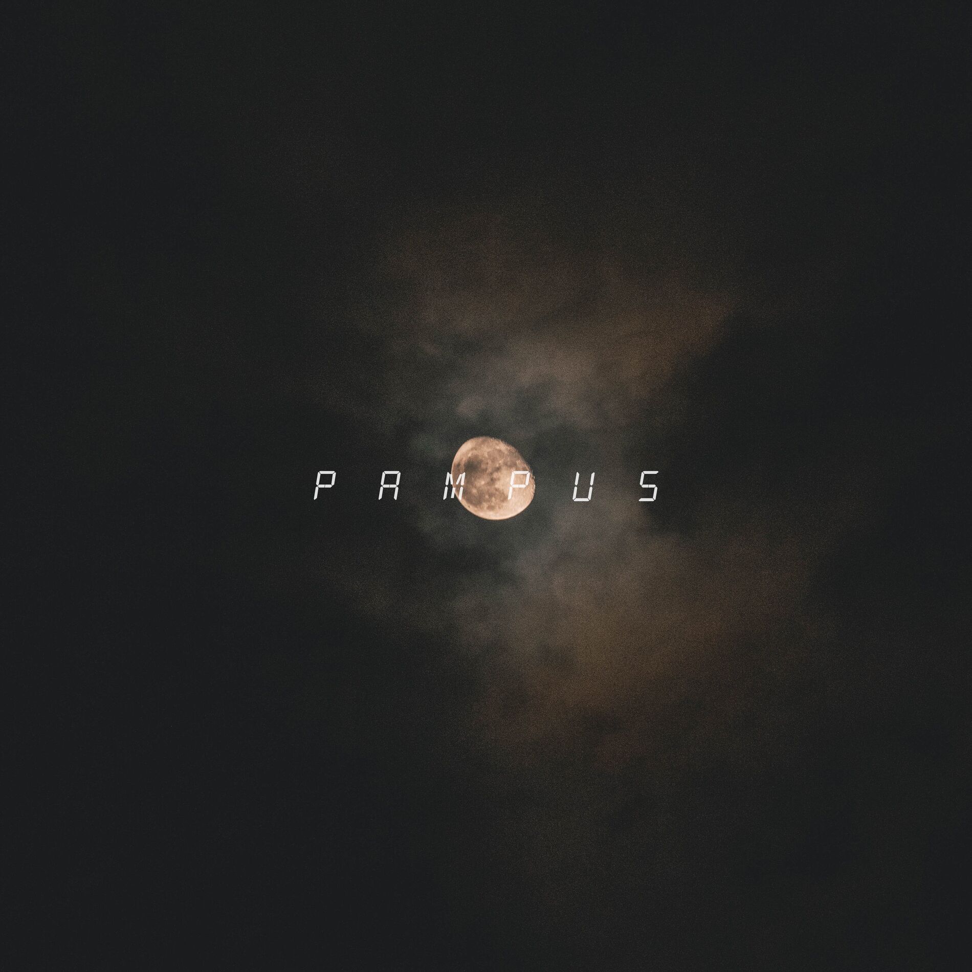 Album cover of Pampus