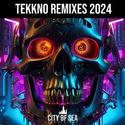 Cover of Tekkno Remixes 2024