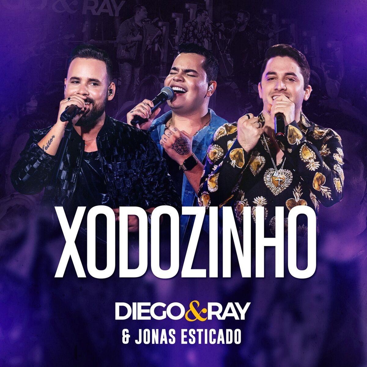 Album cover of Xodozinho