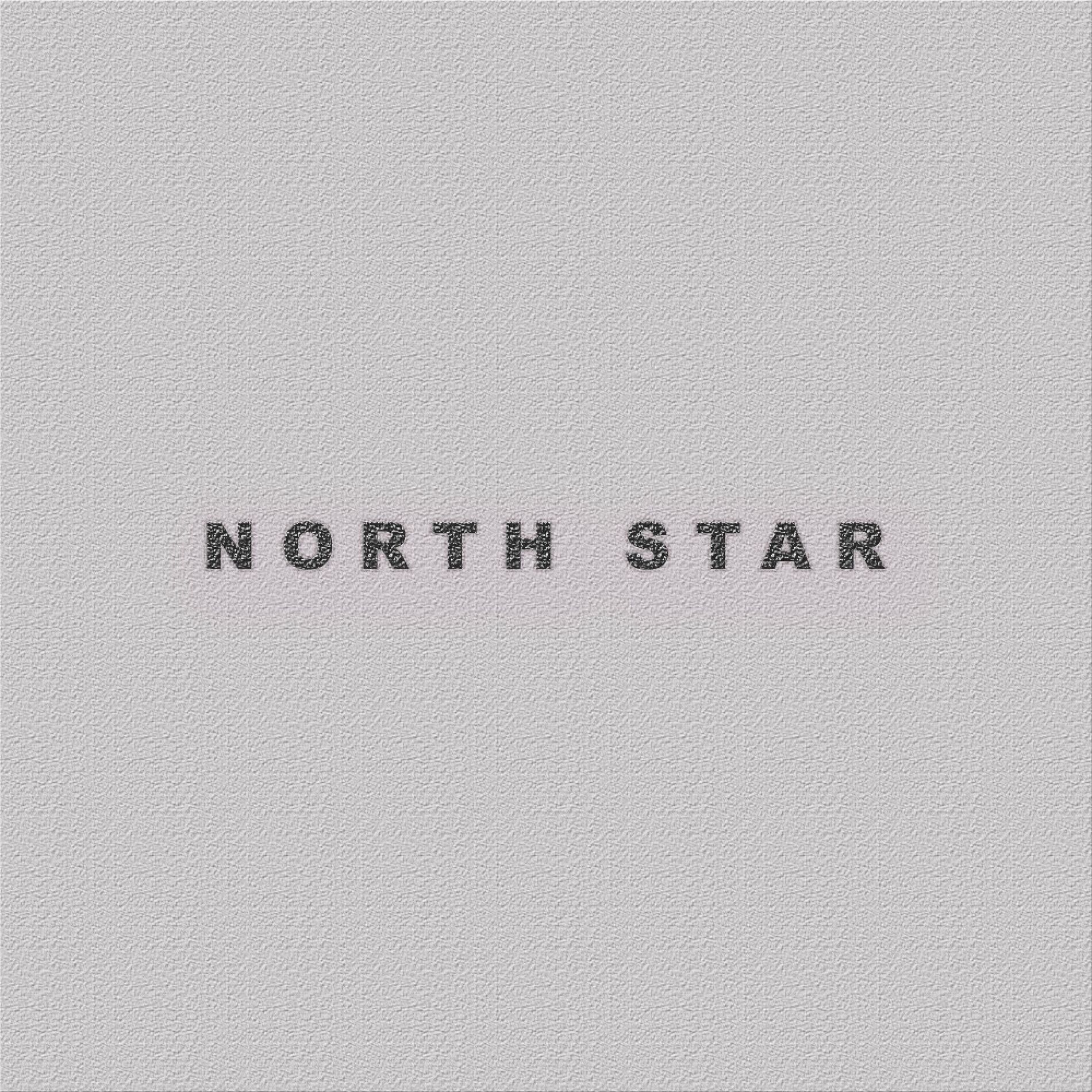Album cover of North Star