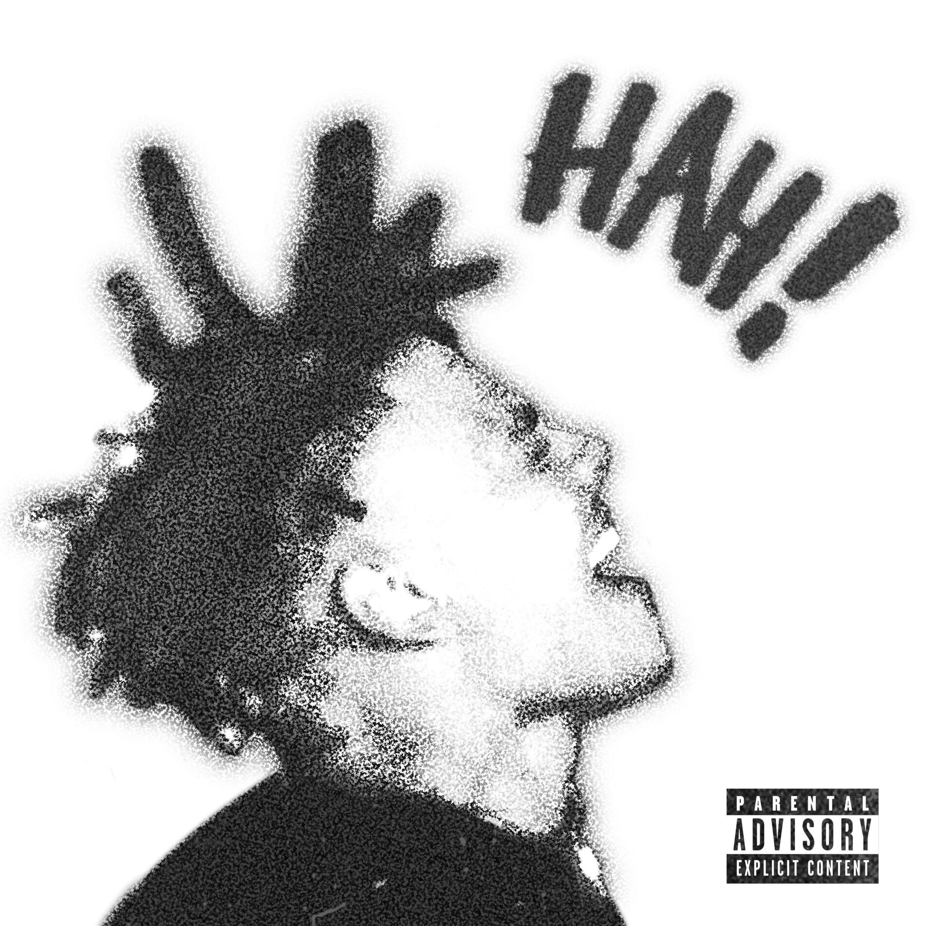 Album cover of Hah !