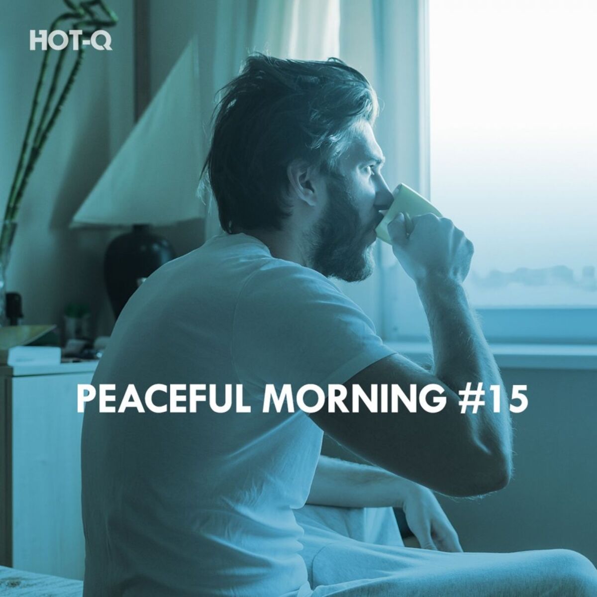 Album cover of Peaceful Morning, Vol. 15