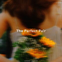 Cover of The Perfect Pair (Remix)