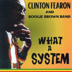 Cover of What a System