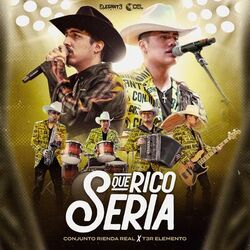 Cover of Que Rico Seria