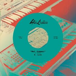 Cover of Wet Summer / Night Raid