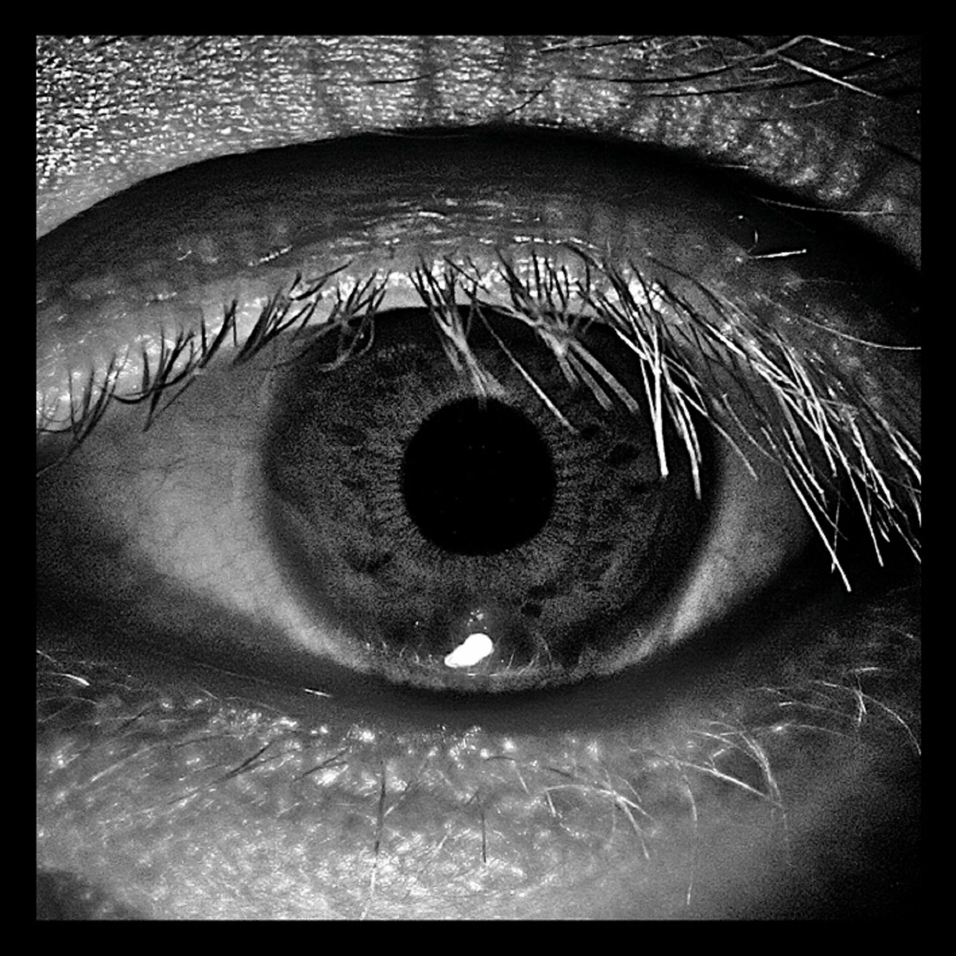 Album cover of Hipnosis