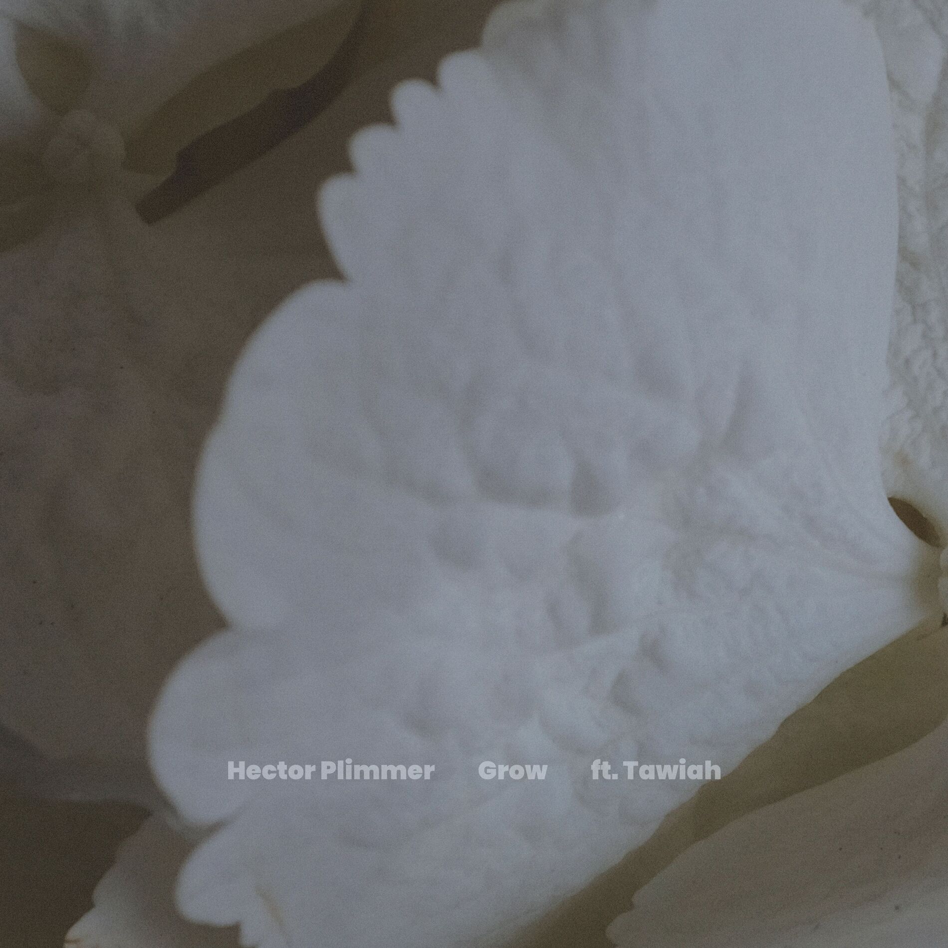 Album cover of Grow