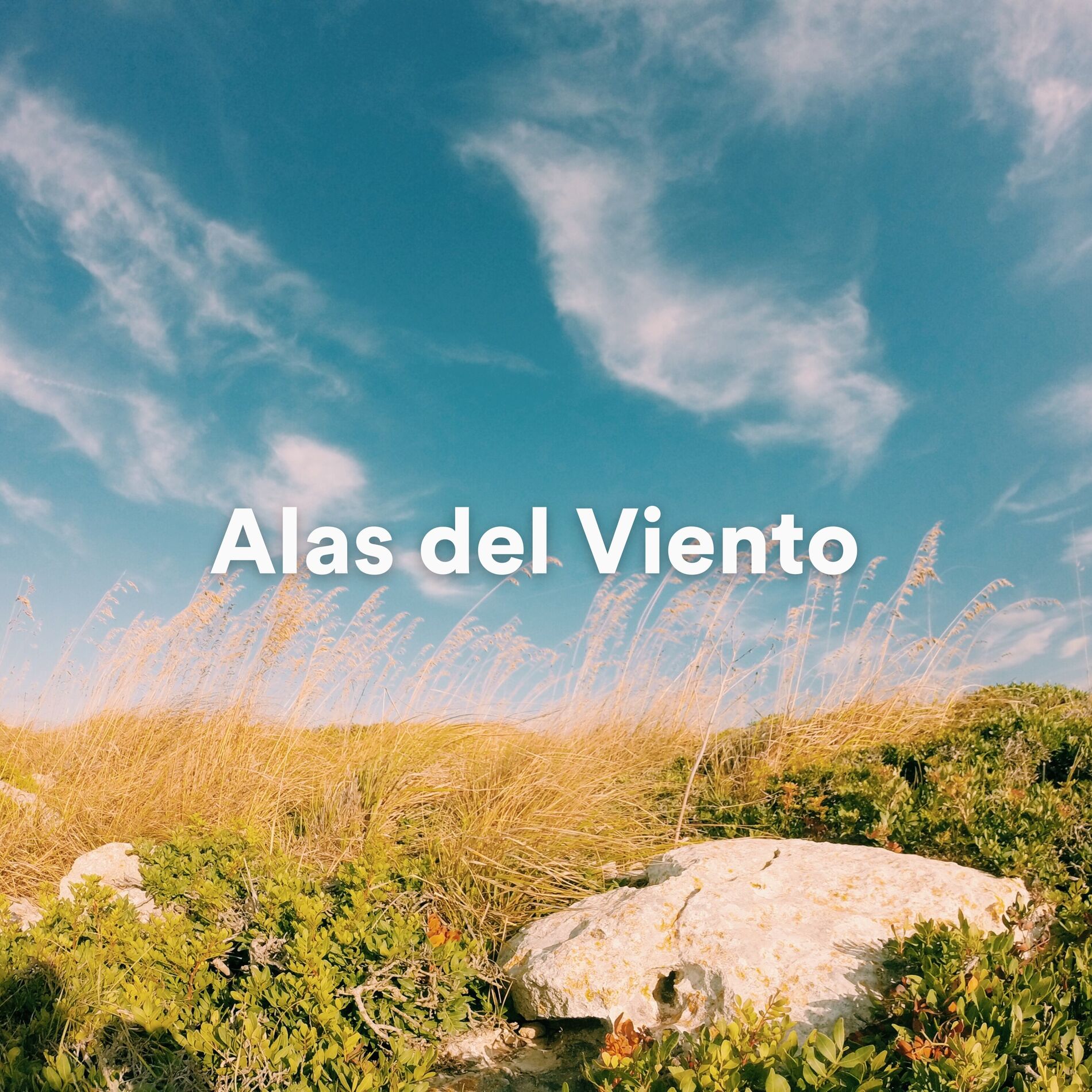 Album cover of Alas del Viento