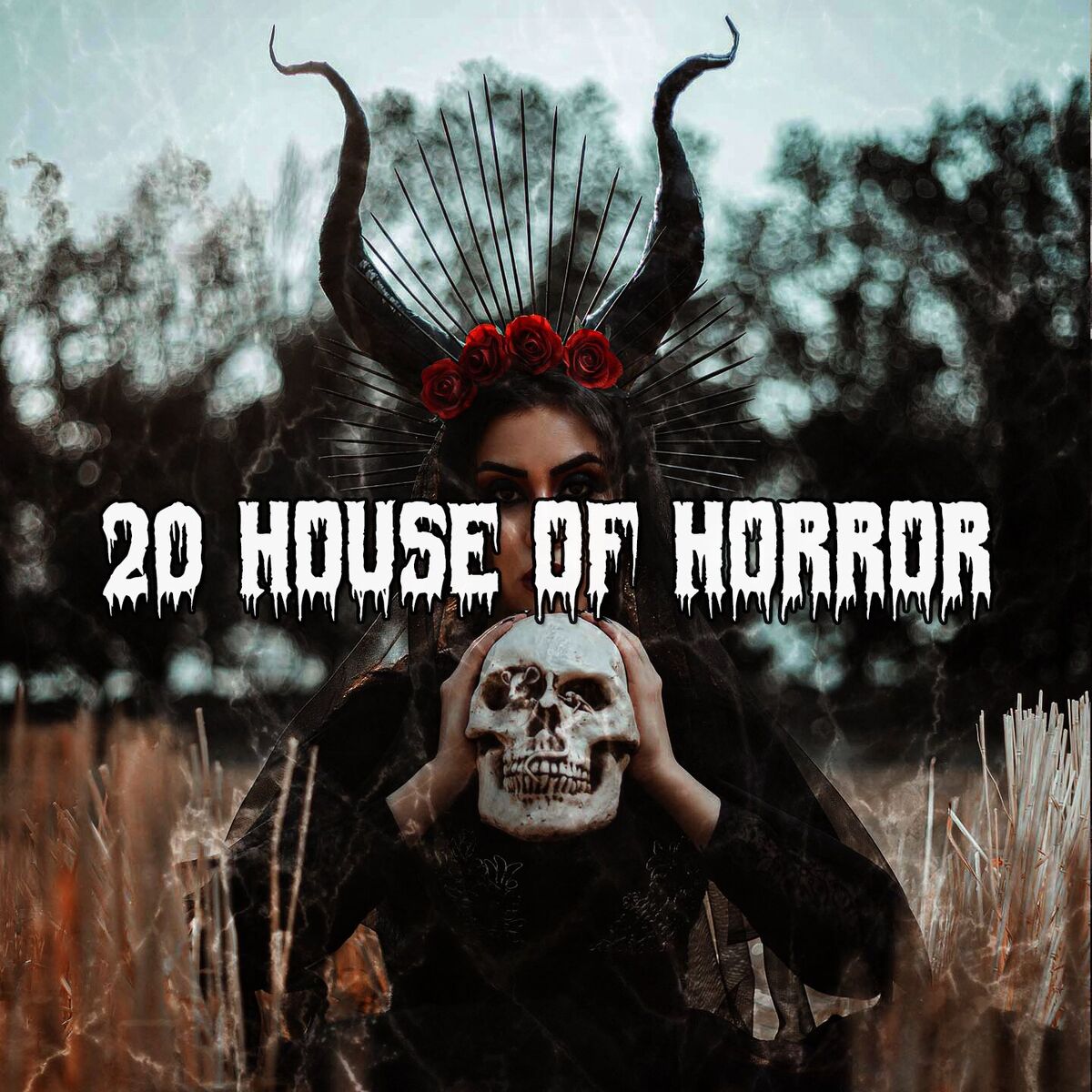 Album cover of 20 House Of Horror