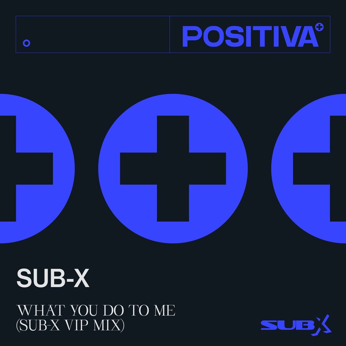 Album cover of What You Do To Me (SUB-X VIP Mix)