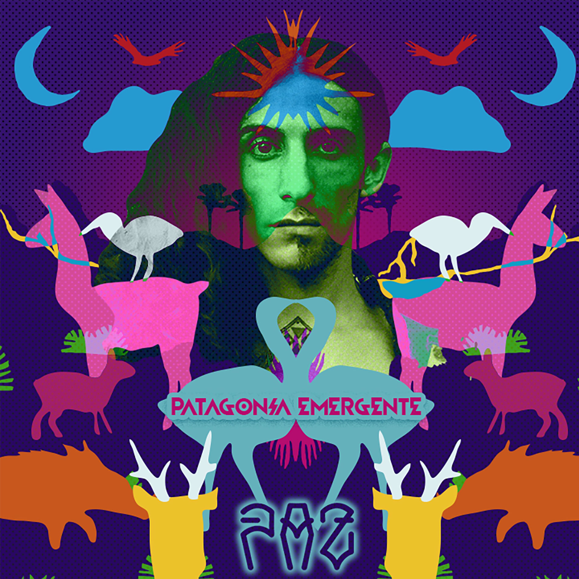 Album cover of Patagonia Emergente
