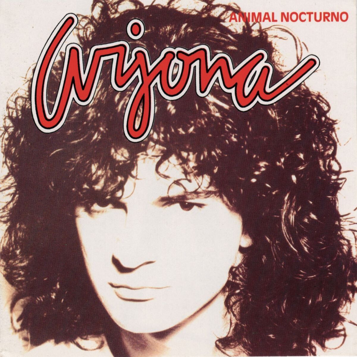 Album cover of Animal Nocturno