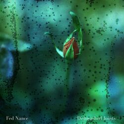 Cover of Dishwashed Joints