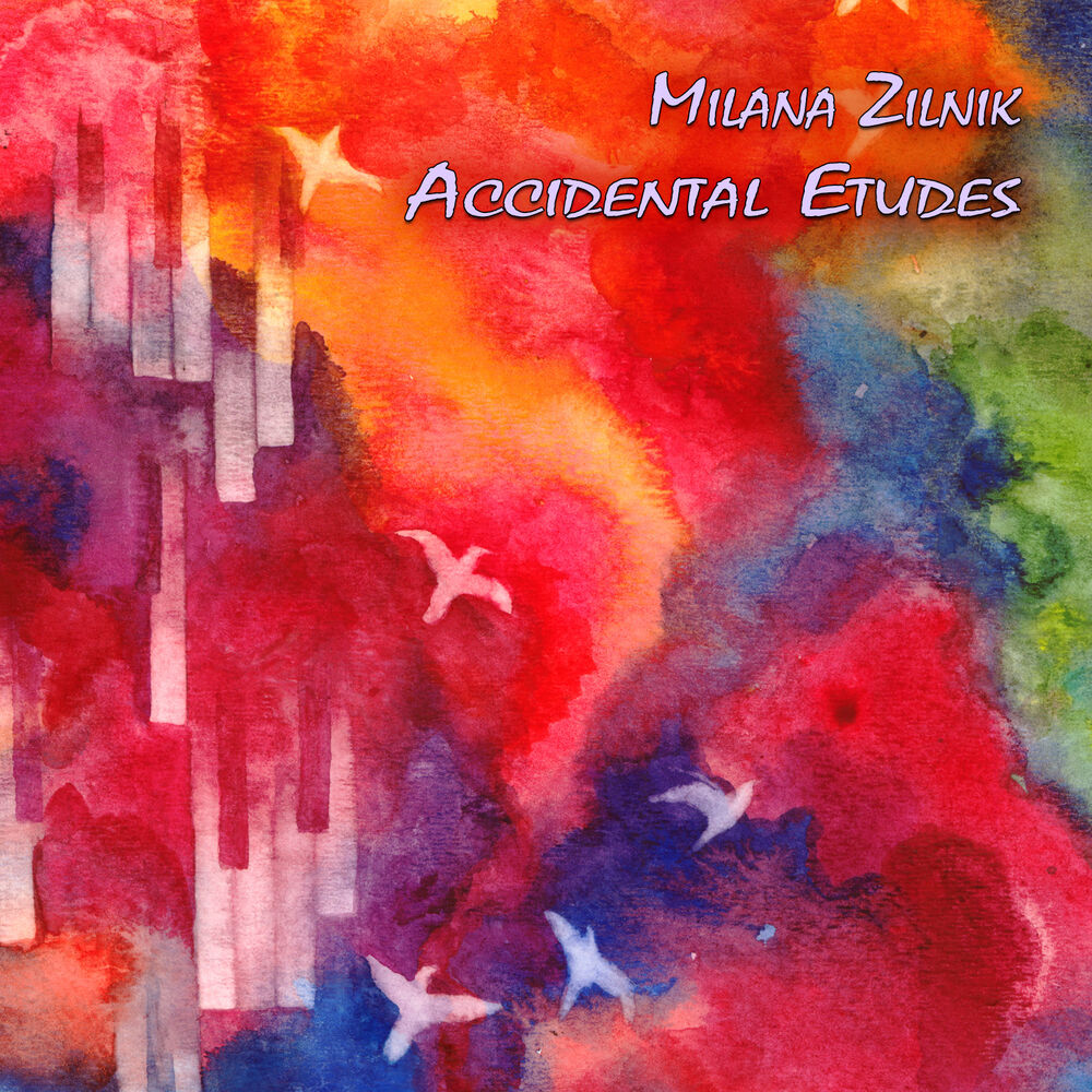 Picture of Accidental Etudes
