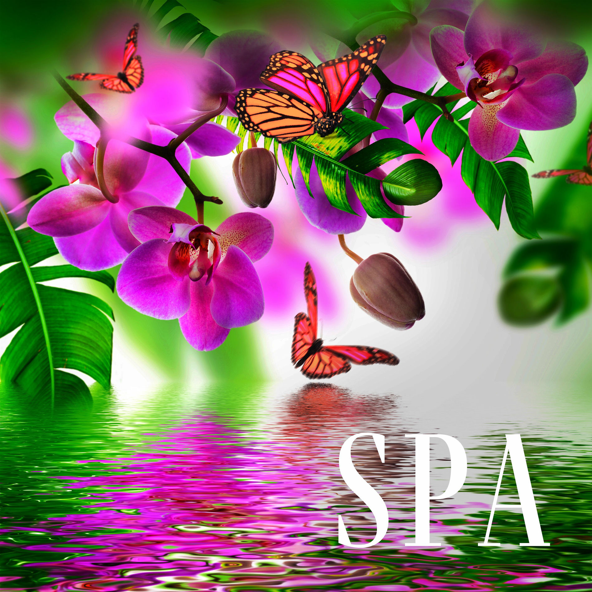 Album cover of Spa: Musique instrumentale relaxante pour le massage, La méditation, Le sommeil