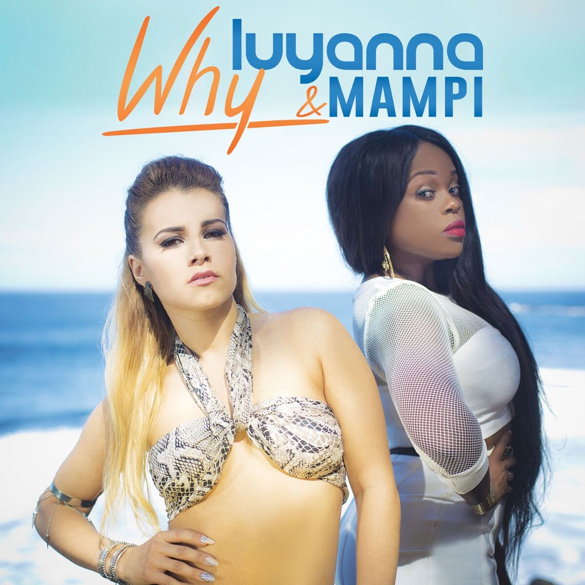 Album cover of Why