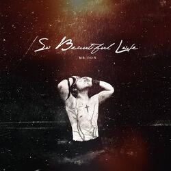 Cover of So Beautiful Love
