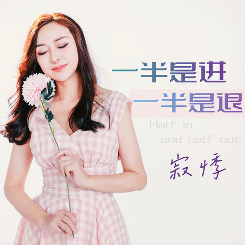 一半是进一半是退