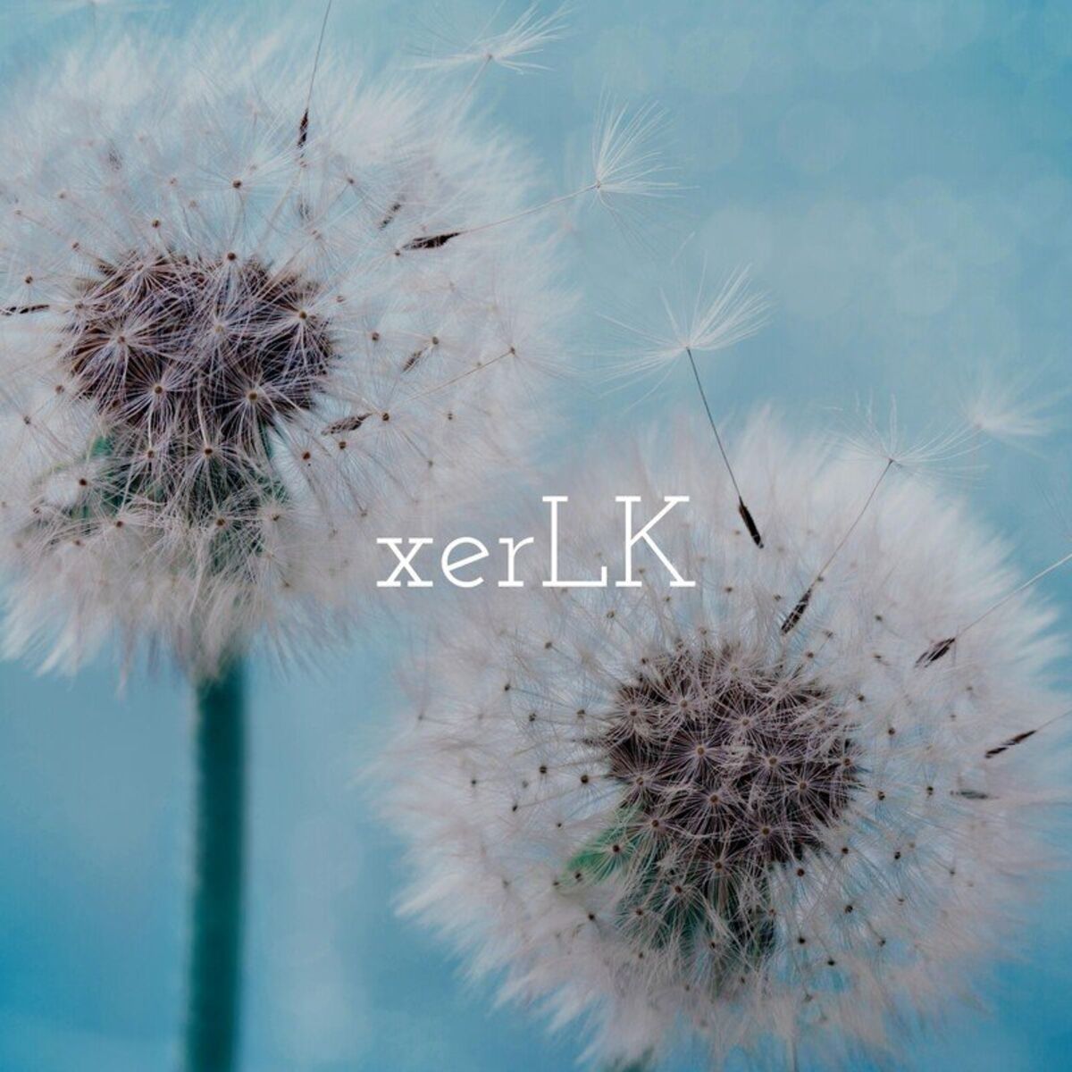 Album cover of Skylight