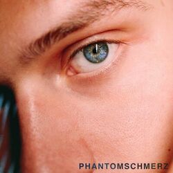 Cover of Phantomschmerz