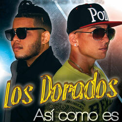 Cover of Así Como Es