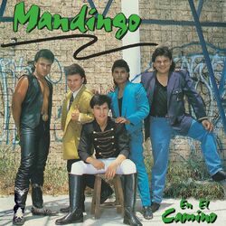 Cover of En El Camino