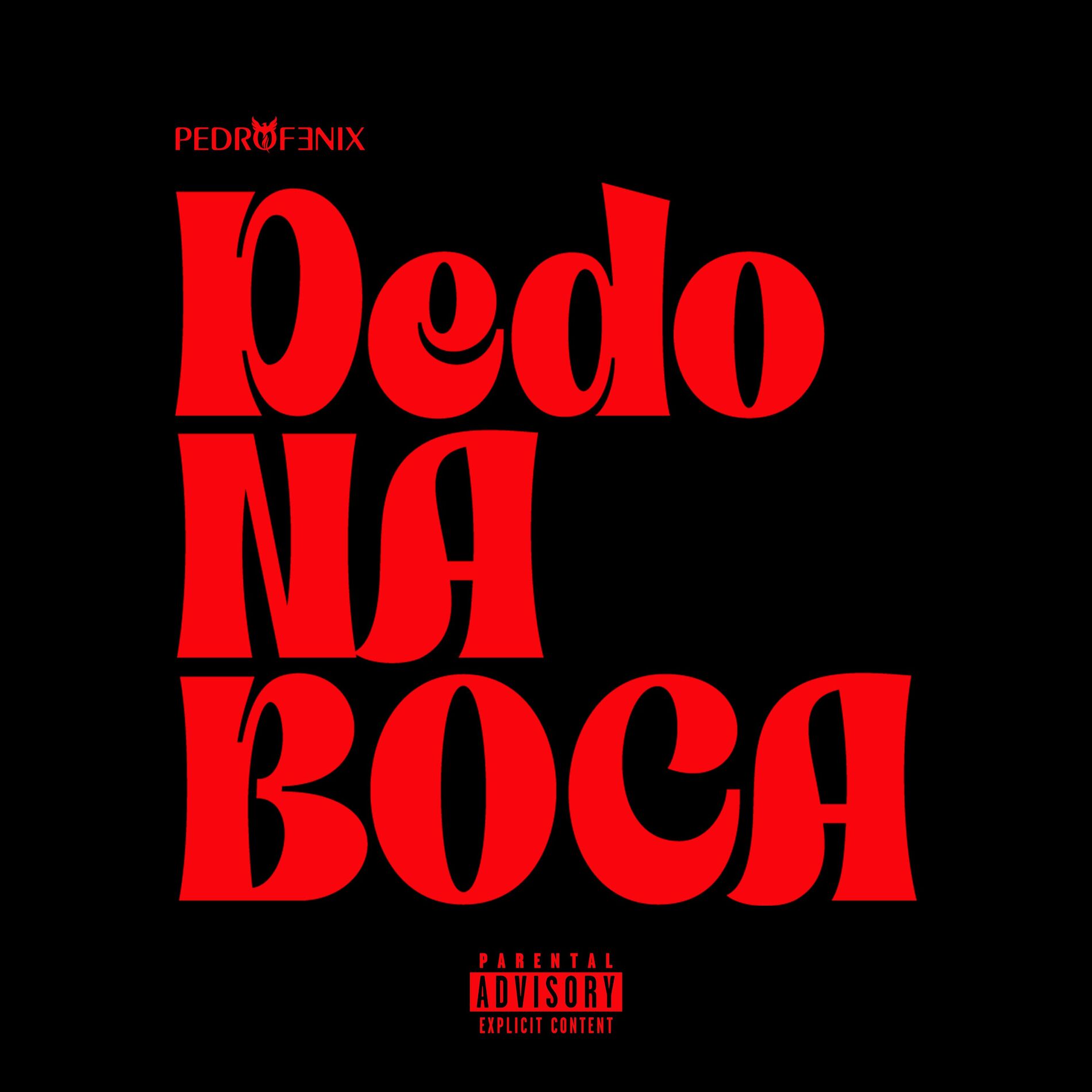 Album cover of Dedo na Boca