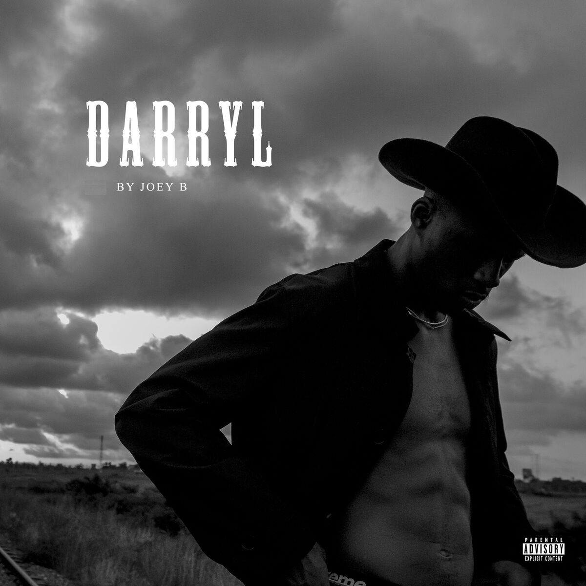Album cover of Darryl