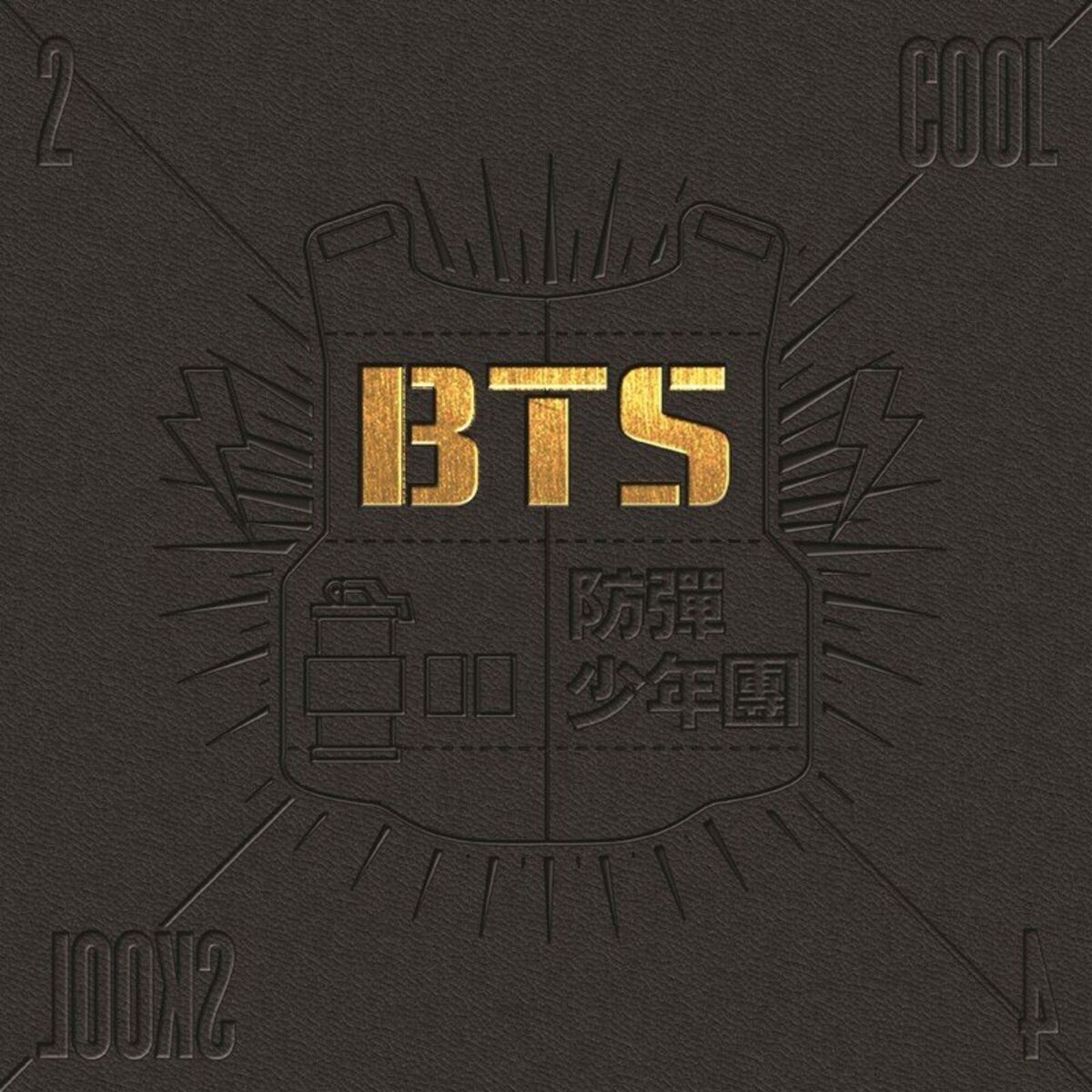 Album picture of 2 Cool 4 Skool