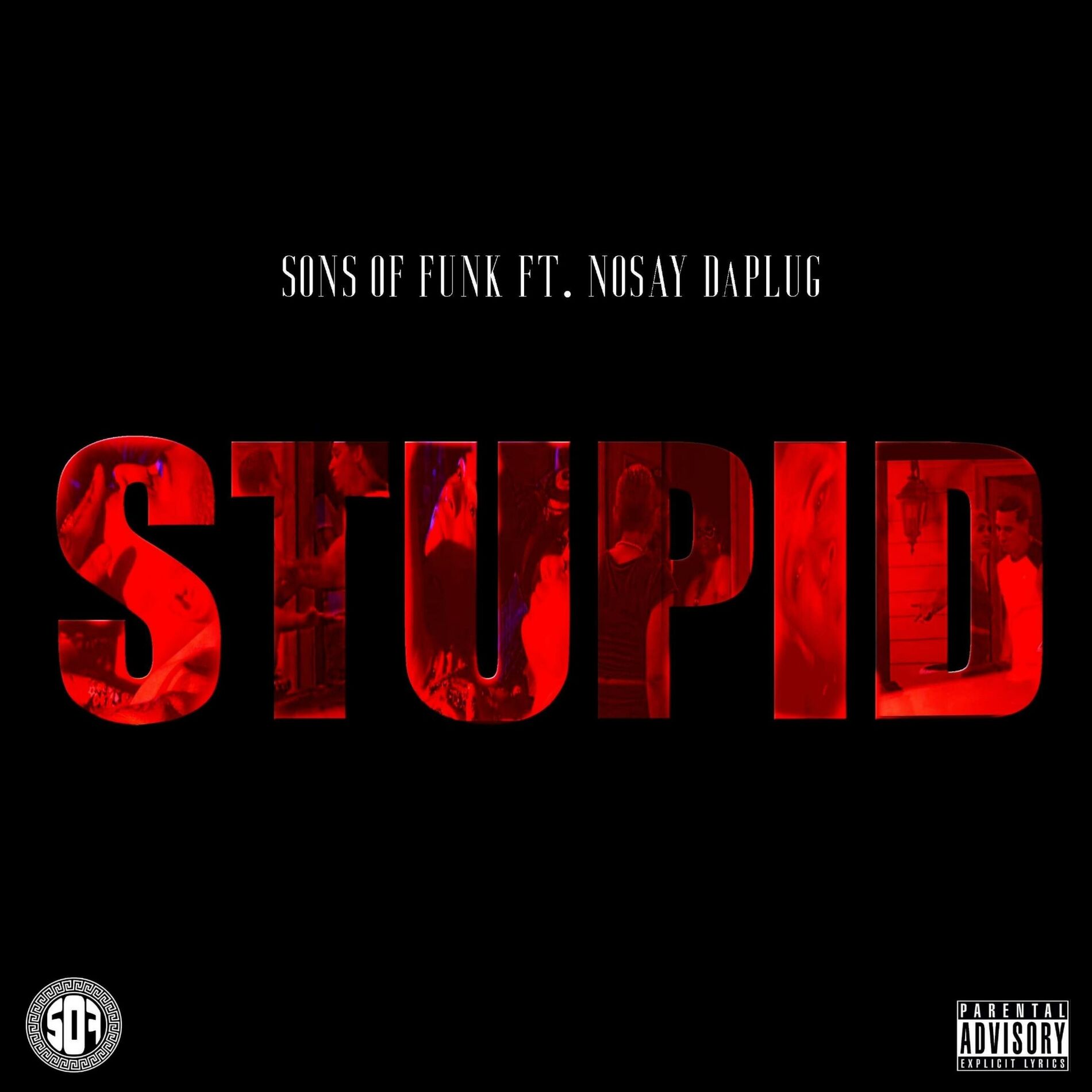 Album cover of Stupid