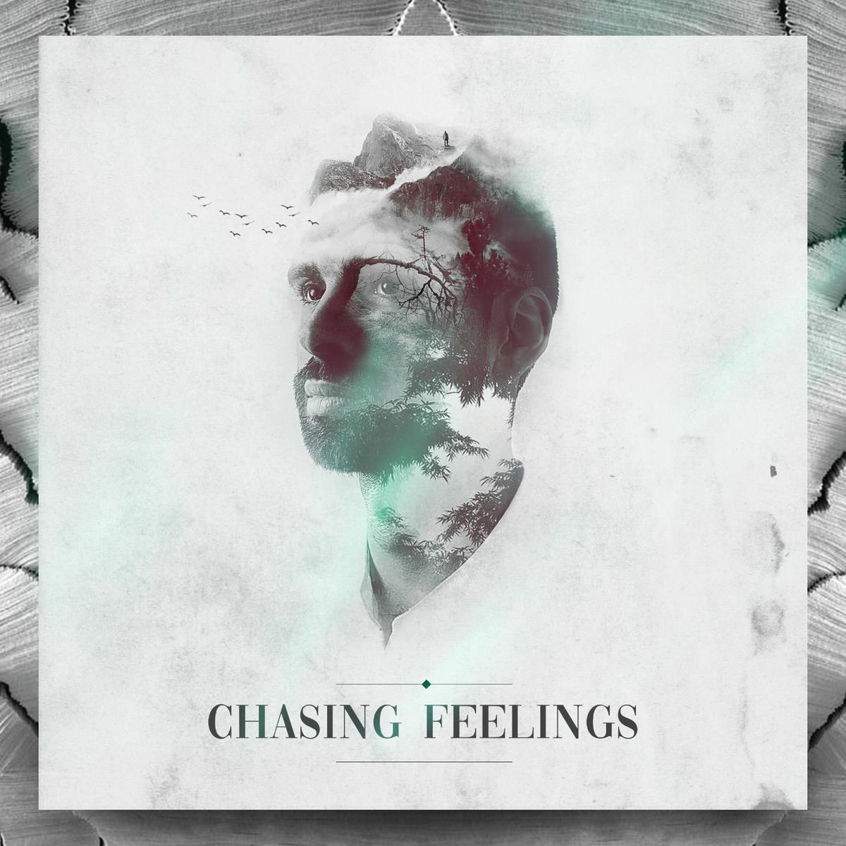 Album cover of Chasing Feelings