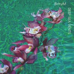 Cover of Deep Sea Vents