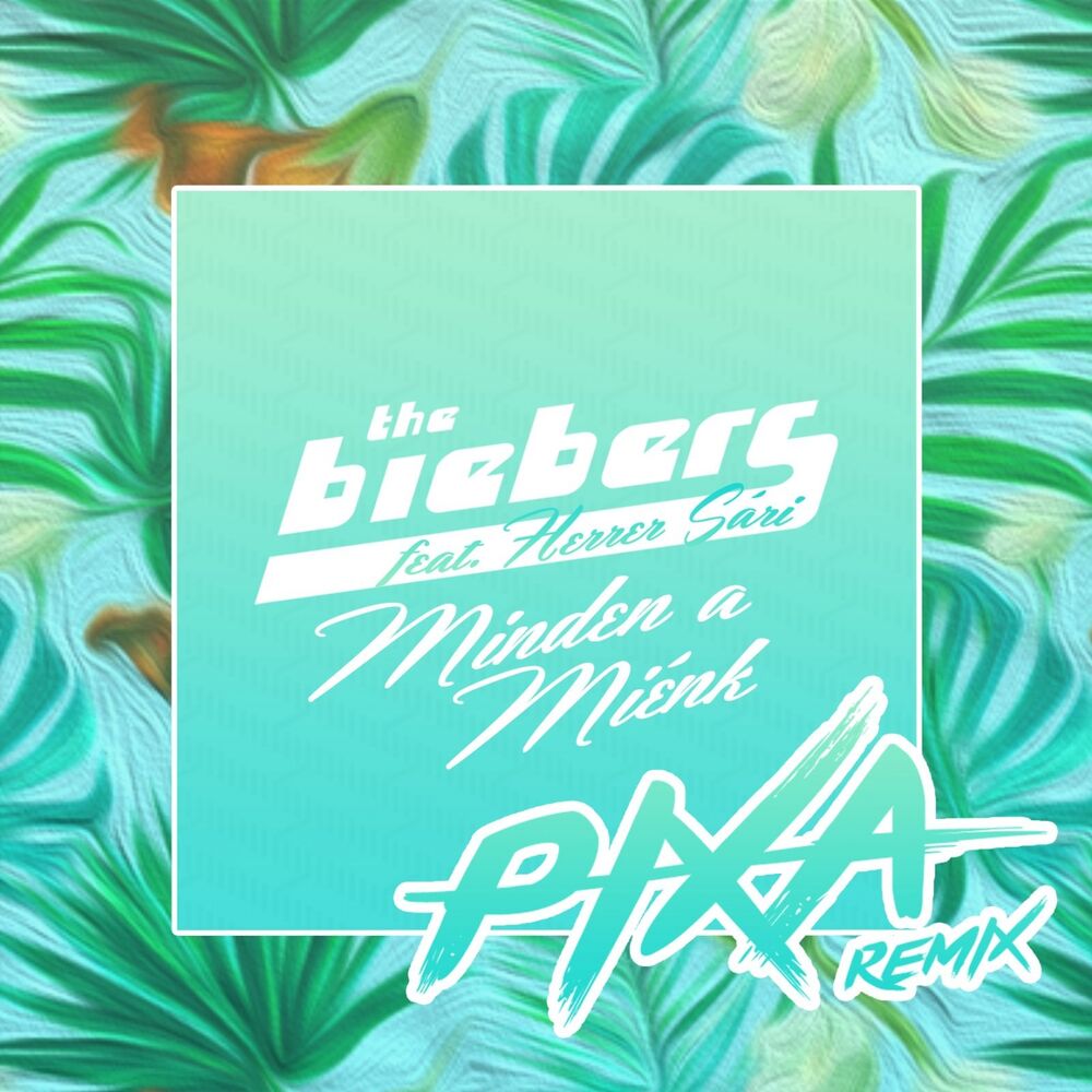 Picture of Minden A Miénk (Pixa Remix)