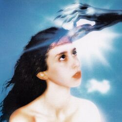 Cover of Imaginal Disk
