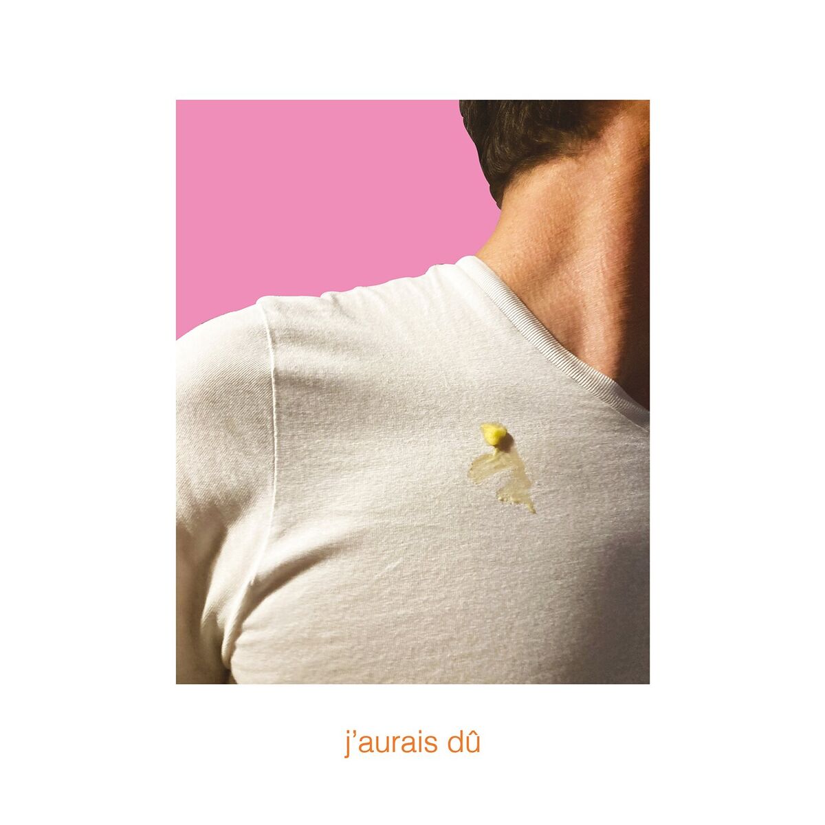 Album cover of J'aurais du