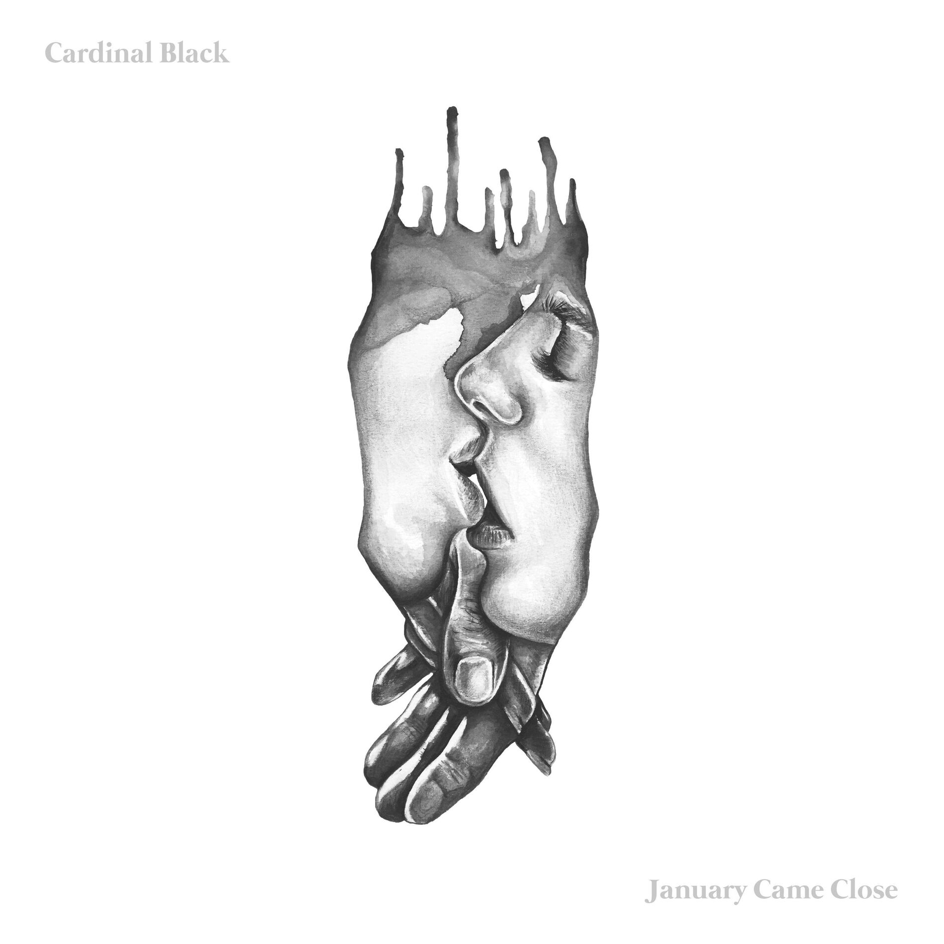 Album picture of January Came Close