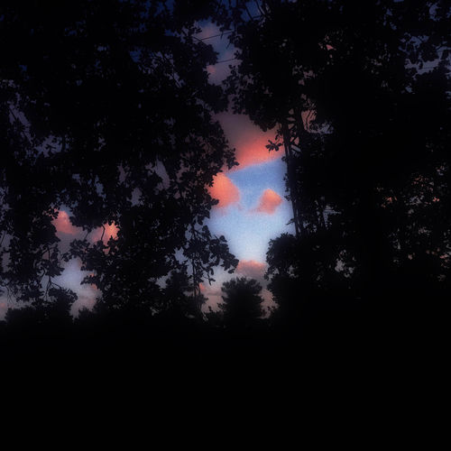 A Hint of Sun