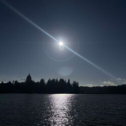 Cover of Dawn