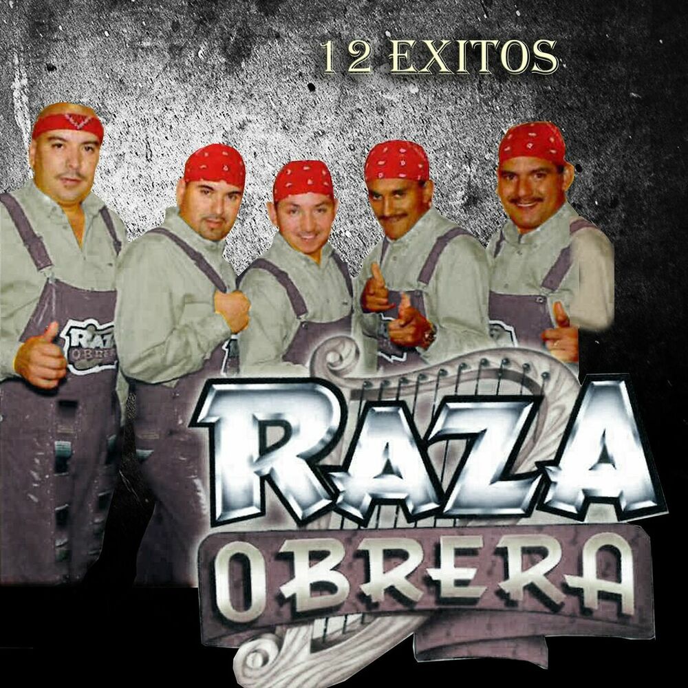 Picture of 12 Exitos