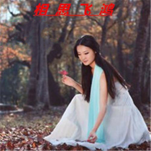 相思飞鸿