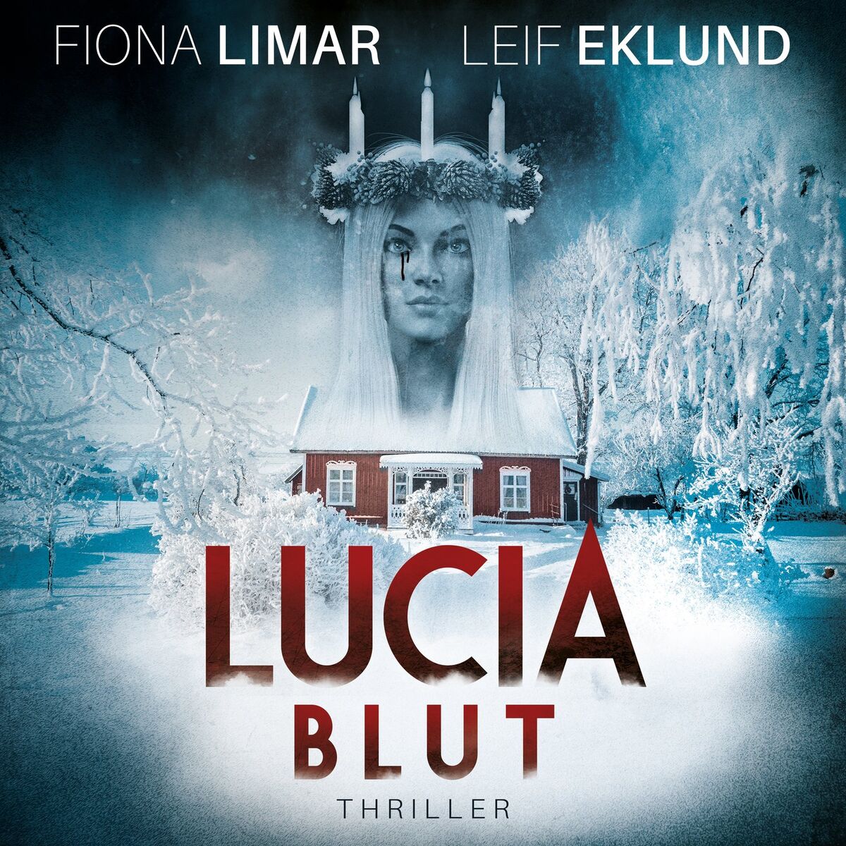 Album cover of Kapitel 1 - Lucia Blut - Schwedenthriller, Band 1