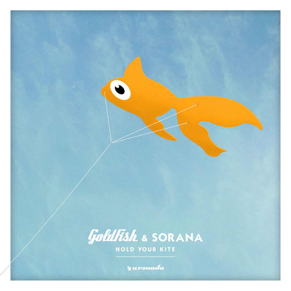 Picture of Hold Your Kite