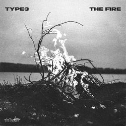 Cover of The Fire