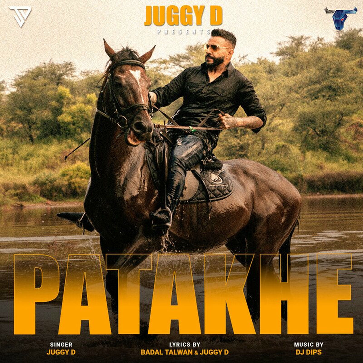 Album cover of Patakhe