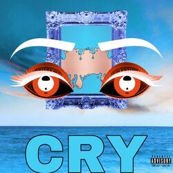 Cover of CRY